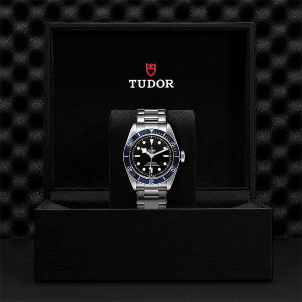 TUDOR BLACK BAY STEEL 41MM (Image 3)