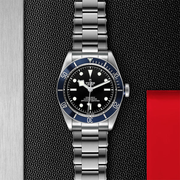 TUDOR BLACK BAY STEEL 41MM (Image 2)