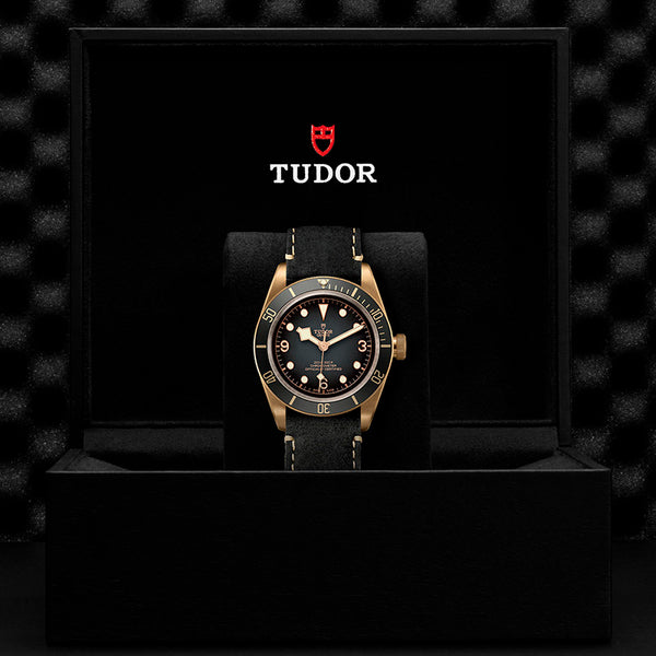 TUDOR BLACK BAY BRONZE 43MM (Image 3)