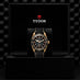 TUDOR BLACK BAY BRONZE 43MM (Thumbnail 3)
