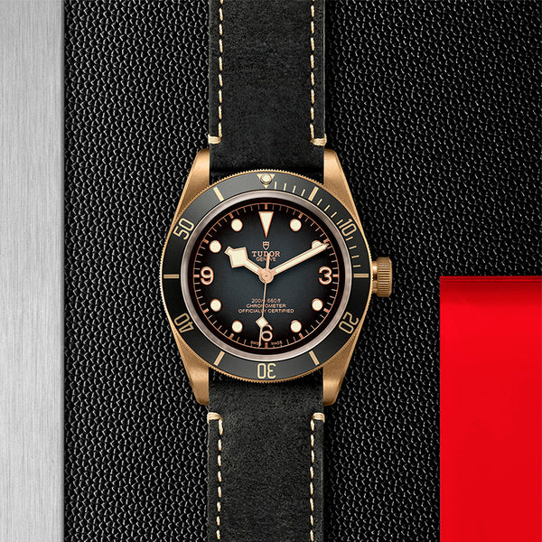 TUDOR BLACK BAY BRONZE 43MM (Image 2)