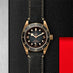 TUDOR BLACK BAY BRONZE 43MM (Thumbnail 2)