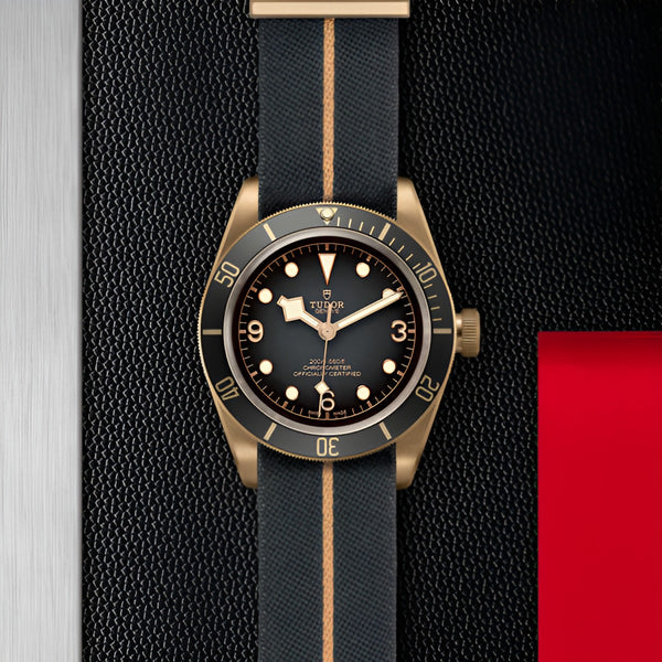 TUDOR BLACK BAY BRONZE 43MM (Image 2)