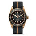 TUDOR BLACK BAY BRONZE 43MM (Thumbnail 1)