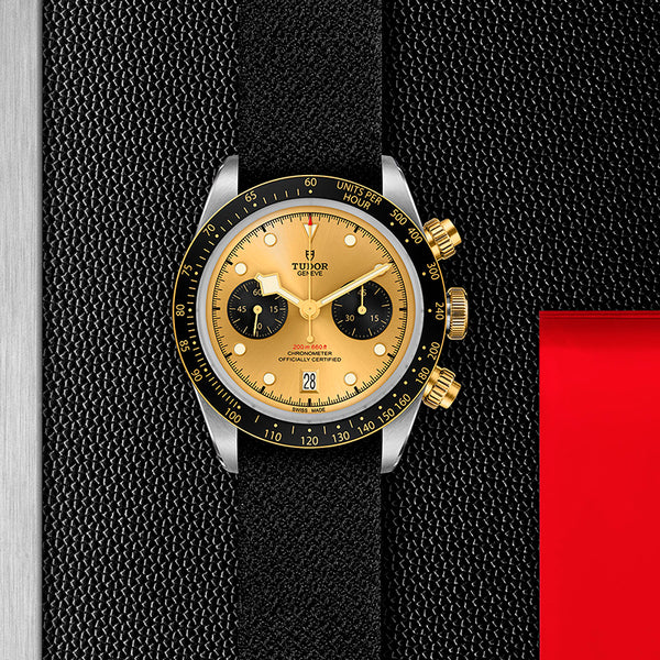 TUDOR BLACK BAY CHRONO S&G 41MM (Image 3)