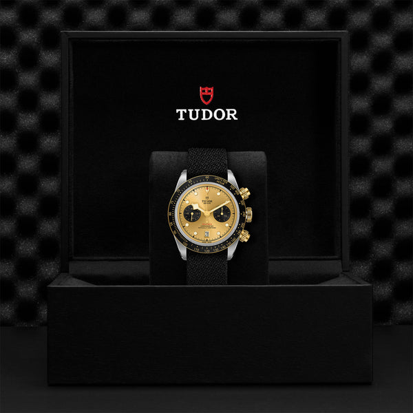 TUDOR BLACK BAY CHRONO S&G 41MM (Image 2)