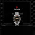 TUDOR BLACK BAY 39 STAINLESS STEEL (Thumbnail 3)