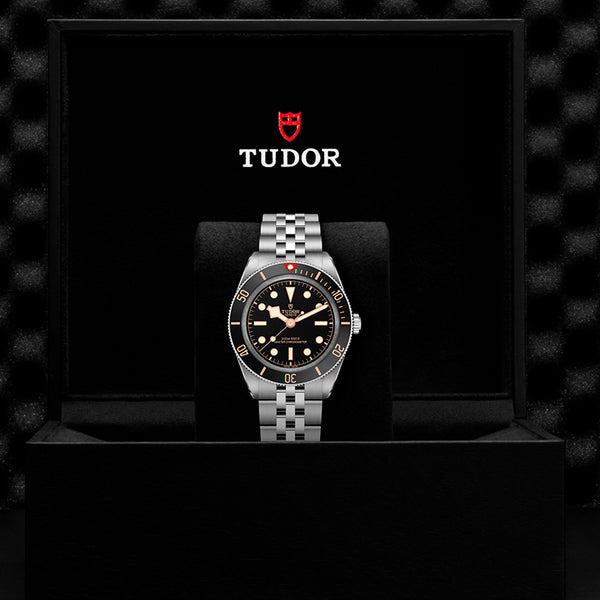 TUDOR BLACK BAY 39 STAINLESS STEEL (Image 3)