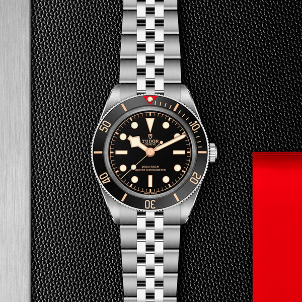 TUDOR BLACK BAY 39 STAINLESS STEEL (Image 2)