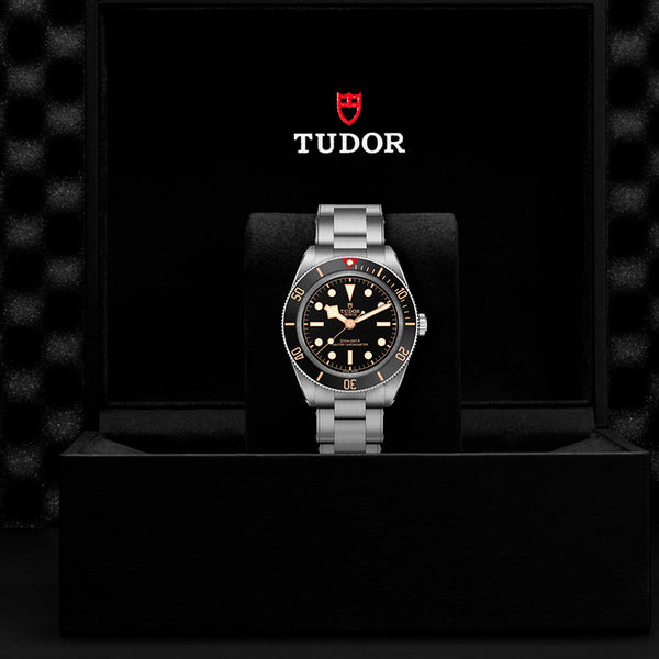TUDOR BLACK BAY 39 STAINLESS STEEL (Image 3)