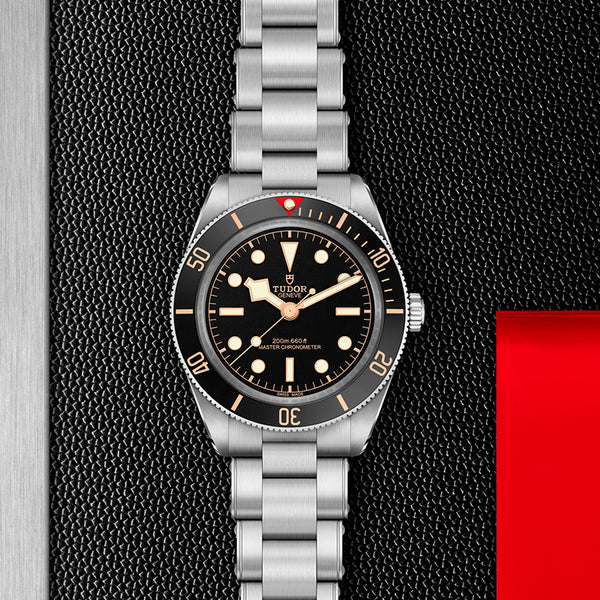 TUDOR BLACK BAY 39 STAINLESS STEEL (Image 2)