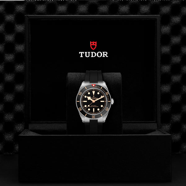 TUDOR BLACK BAY 39 STAINLESS STEEL (Image 3)