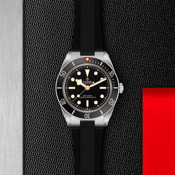 TUDOR BLACK BAY 39 STAINLESS STEEL (Image 2)