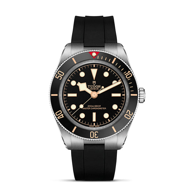 TUDOR BLACK BAY 39 STAINLESS STEEL (Image 1)