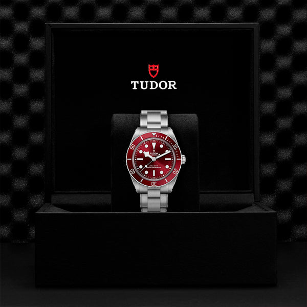 TUDOR BLACK BAY 58 STEEL 39MM (Image 3)