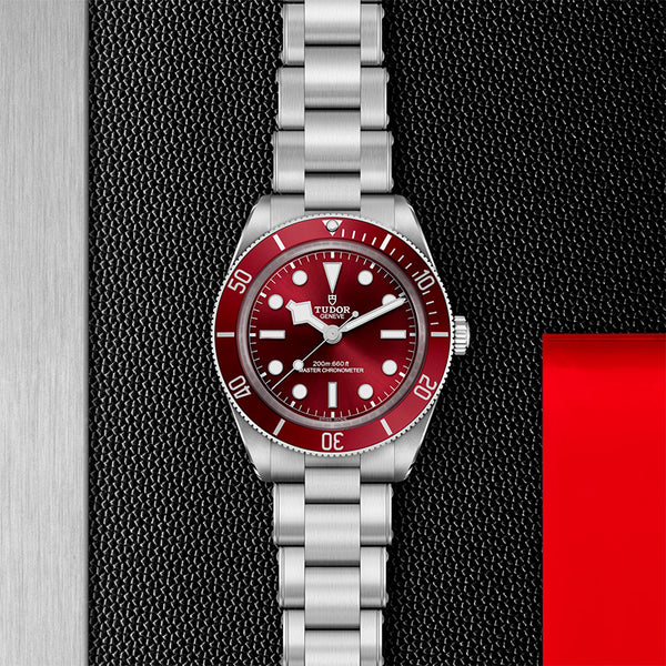 TUDOR BLACK BAY FIFTY-EIGHT STEEL 39MM (Image 2)