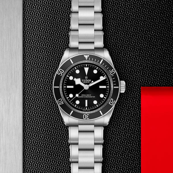 TUDOR BLACK BAY 41MM (Image 2)