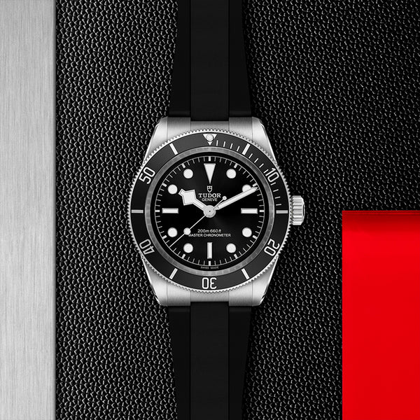 TUDOR BLACK BAY 41MM (Image 2)