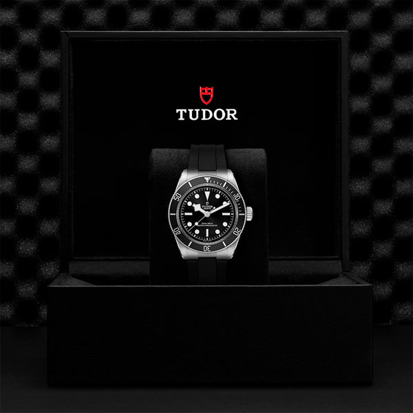 TUDOR BLACK BAY 41MM (Image 3)