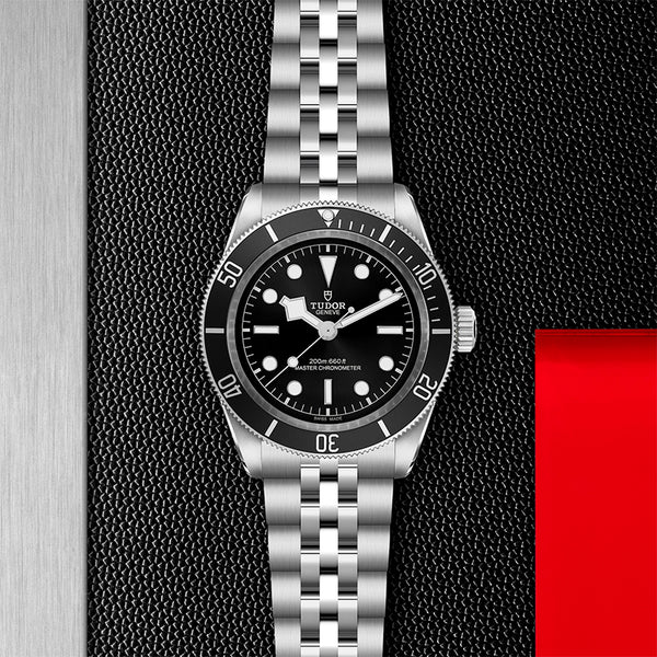 TUDOR BLACK BAY 41MM (Image 2)