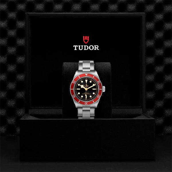 TUDOR BLACK BAY 41MM (Image 3)