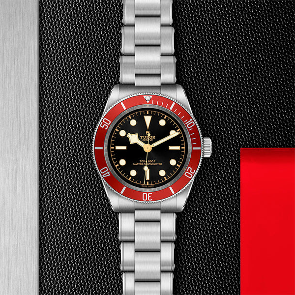 TUDOR BLACK BAY 41MM (Image 2)