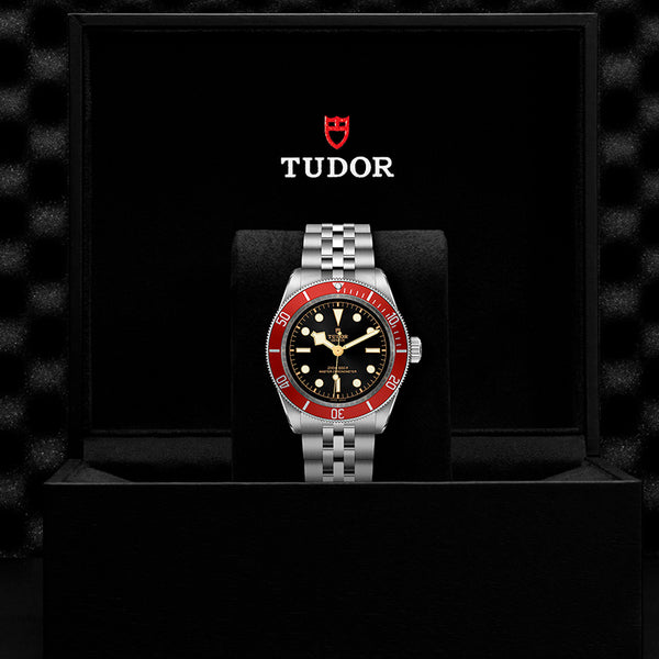 TUDOR BLACK BAY 41MM (Image 3)