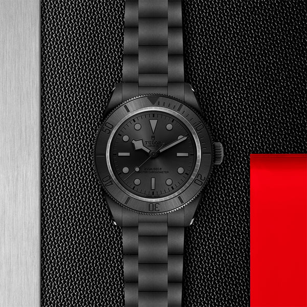 TUDOR BLACK BAY 41 CERAMIC (Image 2)