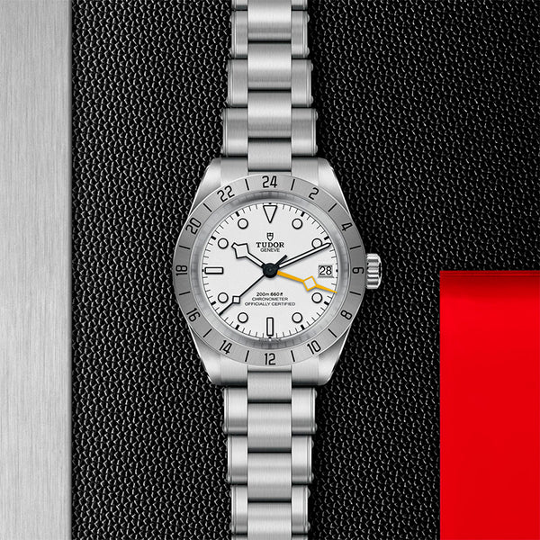 TUDOR BLACK BAY PRO STEEL 39MM (Image 2)