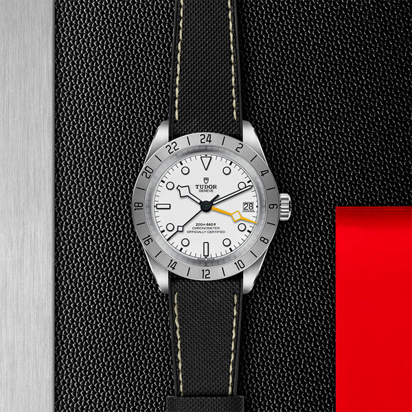 TUDOR BLACK BAY PRO STEEL 39MM (Image 2)