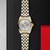 TUDOR BLACK BAY ONE S&G 31MM (Thumbnail 2)