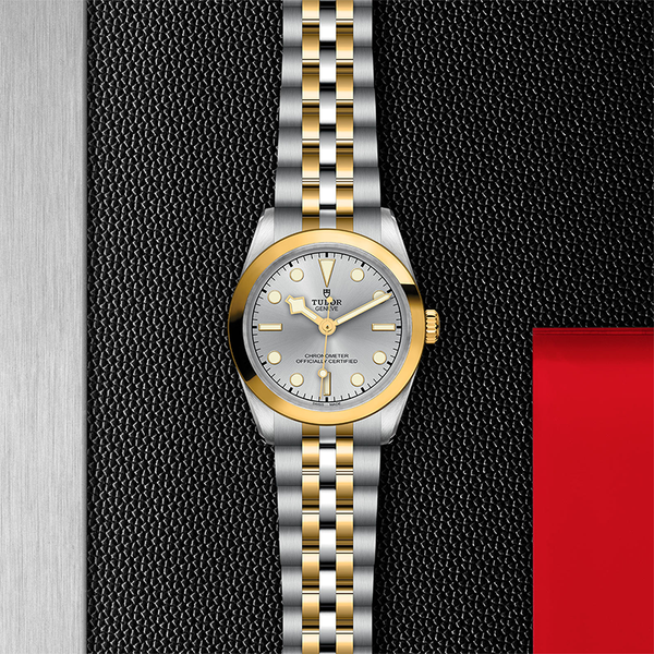 TUDOR BLACK BAY ONE S&G 31MM (Image 2)