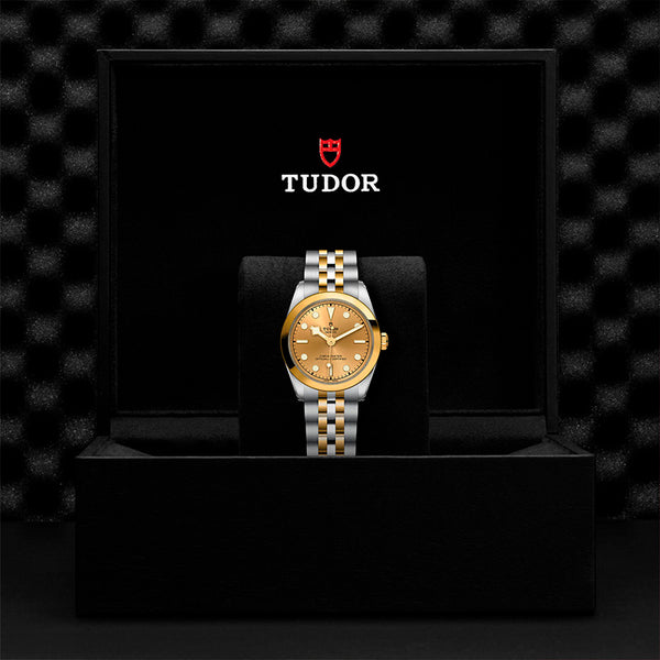 TUDOR BLACK BAY ONE S&G 31MM (Image 3)
