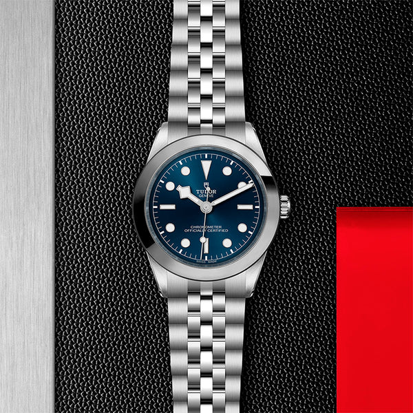 TUDOR BLACK BAY 39MM (Image 2)