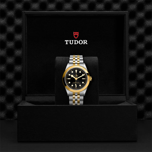 TUDOR BLACK BAY S&G 39MM (Image 3)