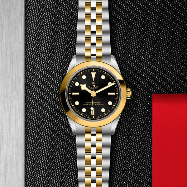 TUDOR BLACK BAY S&G 39MM (Image 2)