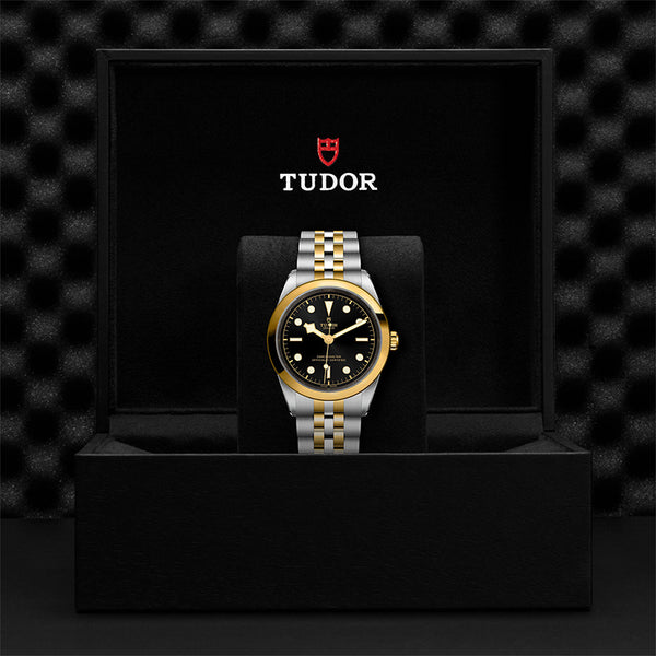 TUDOR BLACK BAY S&G 41MM (Image 3)