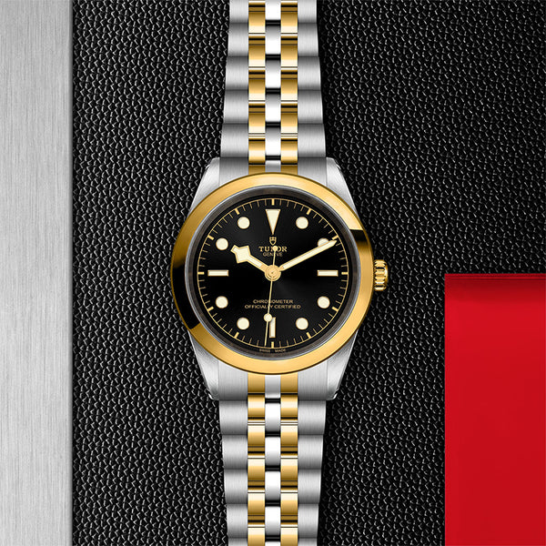 TUDOR BLACK BAY S&G 41MM (Image 2)