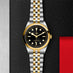 TUDOR BLACK BAY S&G 41MM (Thumbnail 2)