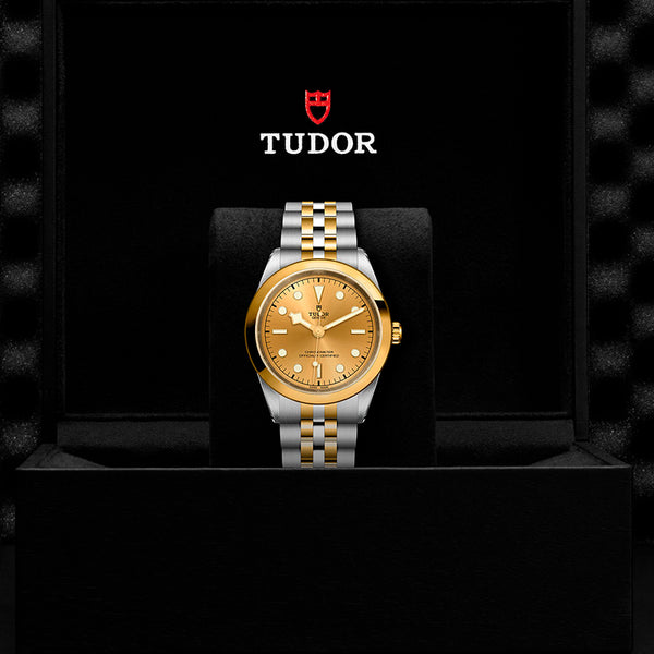 BLACK BAY ONE S&G 41MM (Image 3)