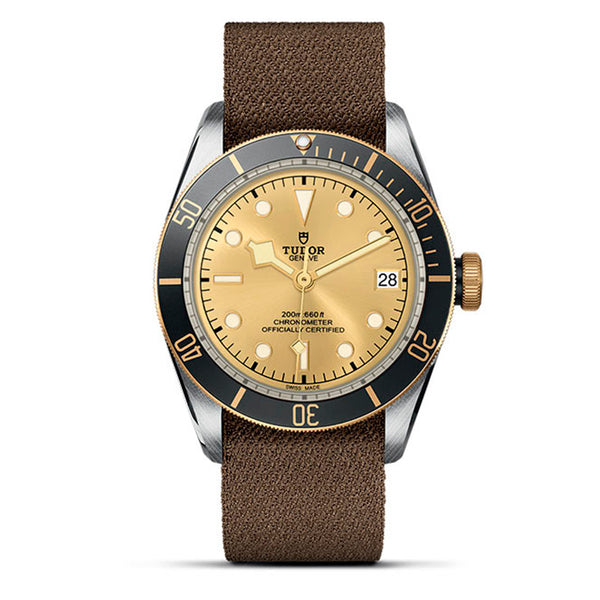 TUDOR BLACK BAY S&G 41MM (Image 1)