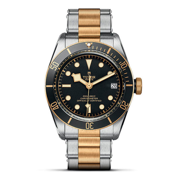 TUDOR BLACK BAY DATE S&G 41MM (Image 1)