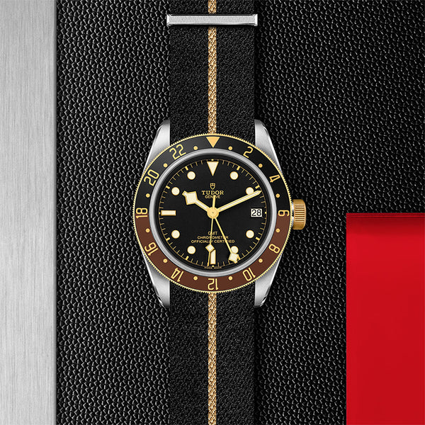 TUDOR BLACK BAY GMT S&G 41MM (Image 2)