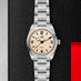TUDOR RANGER STEEL 36MM (Thumbnail 2)