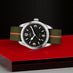 TUDOR RANGER STEEL 39MM (Thumbnail 2)