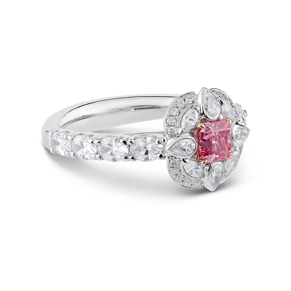 ARGYLE PINK 'TO BE NAMED' RING - ARGYLE HERITAGE COLLECTION (Image 2)