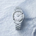 SBGX359 - GRAND SEIKO HERITAGE SNOWFLAKE ANNUAL ACCURACY QUARTZ (Thumbnail 3)