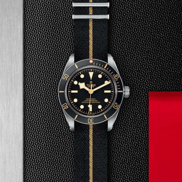 TUDOR BLACK BAY FIFTY EIGHT 39MM (Image 2)