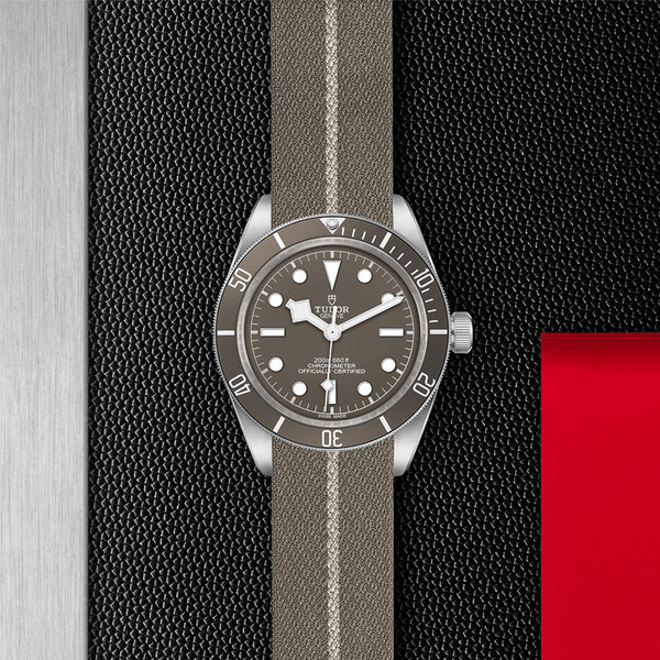 TUDOR BLACK BAY 58 39MM (Image 2)