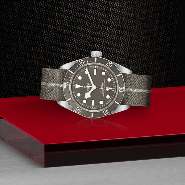 TUDOR BLACK BAY 58 39MM (Image 3)